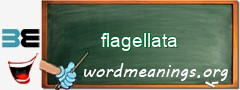 WordMeaning blackboard for flagellata